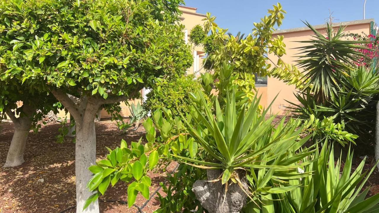 Ocean View Apartment In Orlando Costa Adeje  Exterior foto